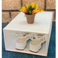 Combo 3 hộp đựng giày nắp nhựa cứng culahome, Kệ giày dép giá rẻ Tủ lắp ráp bao quản giày nắp nhựa cứng cula9296