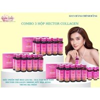 combo 3 hộp hector collagen - siêu trẻ hoá làn da-trắng hồng rạng rỡ