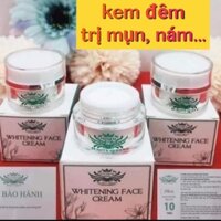 combo 3 hộp kem Ban Đêm tri mụn, thâm, nám...TẶNG kèm serum