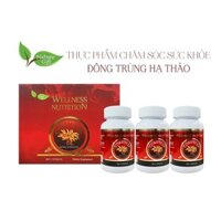 COMBO 3 HỘP Viên uống đông trùng hạ thảo Wellness Nutrition Cordyceps giúp tăng cường sức khỏe (90v/hộp)