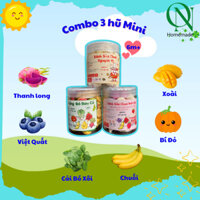 Combo 3 Hũ Mini bánh ăn dặm Oanh Nguyễn cho bé từ 6 tháng, bữa phụ giàu dinh dưỡng