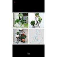 Combo 3 Kệ sắt để cây cảnh 3 tầng 3 chậu