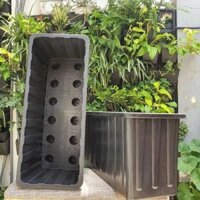 combo 3 khay chậu chữ nhật lớn D63xR26xC30cm trồng rau thông minh