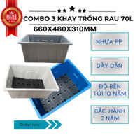 COMBO 3 khay trồng rau, chậu trồng cây, chậu trồng rau Aquaponics kích thước 66x48x31cm 4 mầu