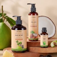 Combo 3 món: chuyên kích mọc tóc hói, giảm gãy rụng, phục hồi tóc hư tổn cho nam và nữ Giọt Lành