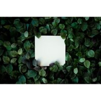 Combo 3 phông nền chụp ảnh sản phẩm vải kim sa cao cấp kt 50×70