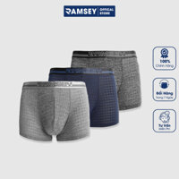 Combo 3 Quần Boxer Nam Thun Lạnh Coolmax Thoáng Mát Hút Mồ Hôi Kháng Khuẩn RA 904