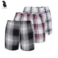 Combo 3 quần đùi nam thể thao cotton Ttnpigofashion QD013 (màu ngẫu nhiên)