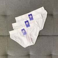 Combo 3 quần lót nam