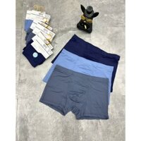 COMBO 3 QUẦN SỊP KẸP SUNWISH HÀNG QC NHẬP KHẨU, SỊP ĐÙI NAM THUN LẠNH CAO CẤP