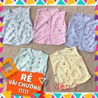 Combo  30 áo ghi lê cotton cho bé ( sỉ)