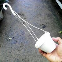 Combo 30 chậu nhựa treo mini 120k