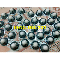 Combo 30 con lăn bi cầu nhựa