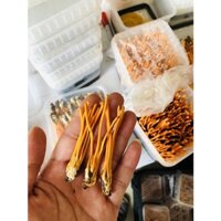 Combo 30 con nhộng đông trùng hạ thảo