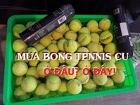 Combo 30 Quả Bóng Tennis Cũ (Luyện Tập) | Bóng Tennis Cũ | Trang Nguyen