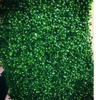 Combo 30 tấm cỏ cải xoong trang trí, cỏ chuẩn loại 1 dày dặn