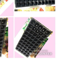 COMBO-30KHAY NHỰA GIEO ƯƠM HẠT GIỐNG