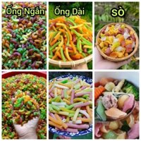Combo 3kg gồm: 1kg Nui Ống Ngắn + 1kg Nui Ống Dài + 1kg Nui Sò (Tặng kèm 700gr nui xoắn rau củ)