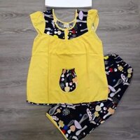 Combo 4 bộ tole lửng 2 50kg-55kg