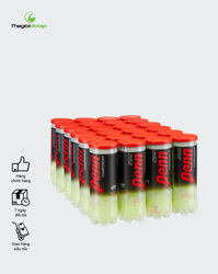 Combo 4 Bóng Tennis Penn Championship