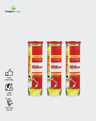 Combo 4 Bóng Tennis Wilson Championship