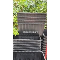 combo 4 chậu nhựa chữ nhật trồng cây cỡ lớn D63xR26xC30cm