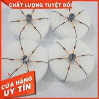 Combo 4 lưỡi lục chất lượng