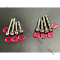 Combo 4 Ốc Salaya Inox 304 Gắn Pat Treo Pô Và Gấp Các Dòng Xe Tay Ga Vario Click