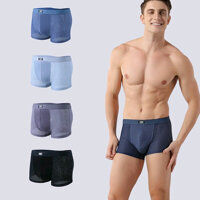 Combo 4 Quần Lót Boxer Nam Thông Hơi D02-4 - 3XL