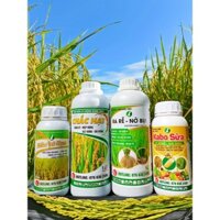 COMBO 4 SẢN PHẨM CHUYÊN LÚA (RA RỄ-ĐÓN ĐÒNG-VÔ GẠO-CHẮC HẠT)