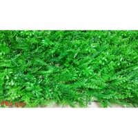 Combo 4 tấm Phú Qúy cao cấp làm Tường cây giả, Cỏ nhựa treo tường kích thước 40 x 60cm