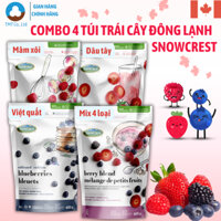 Combo 4 túi Trái cây hỗn hợp, Dâu Tây, Việt Quất, Mâm xôi đông lạnh Snowcrest Date 2026