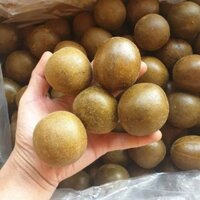 Combo 4 vị ngâm rượu (Táo mèo, Chuối hột lát, Quả La Hán, Sâm đương quy)