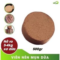 Combo 4 viên sơ dừa hữu cơ cho trồng hoa và rau tại nhà
