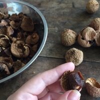 Combo 4kg vải sấy khô