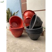 [Combo 5-10 cái]Chậu nhựa trồng cây Phúc lộc thọ T48 nhiều màu, KT 46x23cm,chậu trồng hoa cây cảnh quất đào tết Ecolife