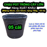 Combo 5 / 10 Chậu nhựa 15gl 25gl (~50 lít / 100 lít) trồng cây sân thượng (hàng xuất khẩu)