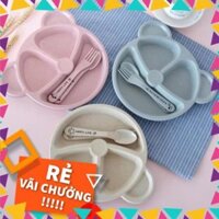 Combo 5, 10 set khay ăn dặm cho bé ( sỉ)