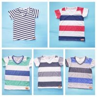 COMBO 5 ÁO THUN BÉ TRAI COTTON XUẤT KHẨU