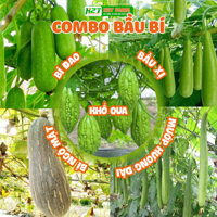 Combo 5 Bịch Hạt Bí Đao, Bầu Xị, Mướp Hương Dài, Khổ Qua, Bí Ngô Mật Dễ Trồng, Chịu Nhiệt - H2t Farm