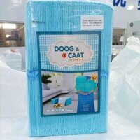 Combo 5 bịch tã lót chuồng chó mèo size SMLXL 100 miếng (1.2kg)