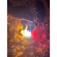 COMBO 5 bóng đờ mi, bóng led T10 gắn ô tô, xe máy có bọc chống nước cực đẹp, điện 12v và 24v