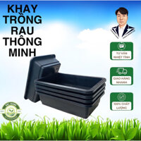 [Combo 5 cái], Khay mầm trồng rau, chậu trồng rau lớn 650x410x170mm