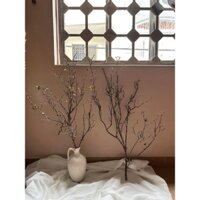 Combo 5 cành khô cắm hoa studio chụp ảnh, trang trí tết, gắn hoa mai giả, hoa đào giả