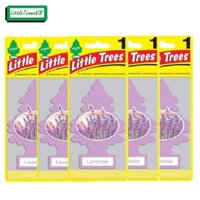 COMBO 5 CÂY THÔNG THƠM LITTLE TREES - Lavender