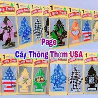 Combo 5 Cây thông thơm USA