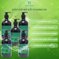 [COMBO 5 CHAI] Dầu gội Bồ Kết Chanh Sả HATA PHARMACY 500ml/Chai, dầu gội đầu giảm gãy rụng tóc, giảm gàu