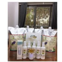 Combo 5 chai khử mùi ẩm mốc tặng 1 máy xịt khoáng