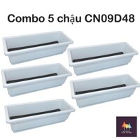 COMBO 5 chậu chữ nhật trồng rau thông minh mã CN09X5D48 màu trắng dày đẹp