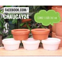 COMBO 5 chậu đất nung 14x7 cm trồng cây cảnh mini, sen đá, xương rồng